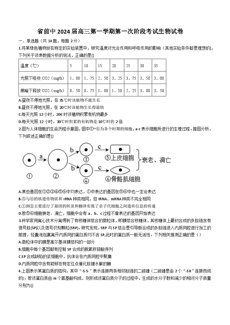 江苏省常州市前黄高级中学2023-2024学年高三上学期第一次阶段考试生物试题第1页