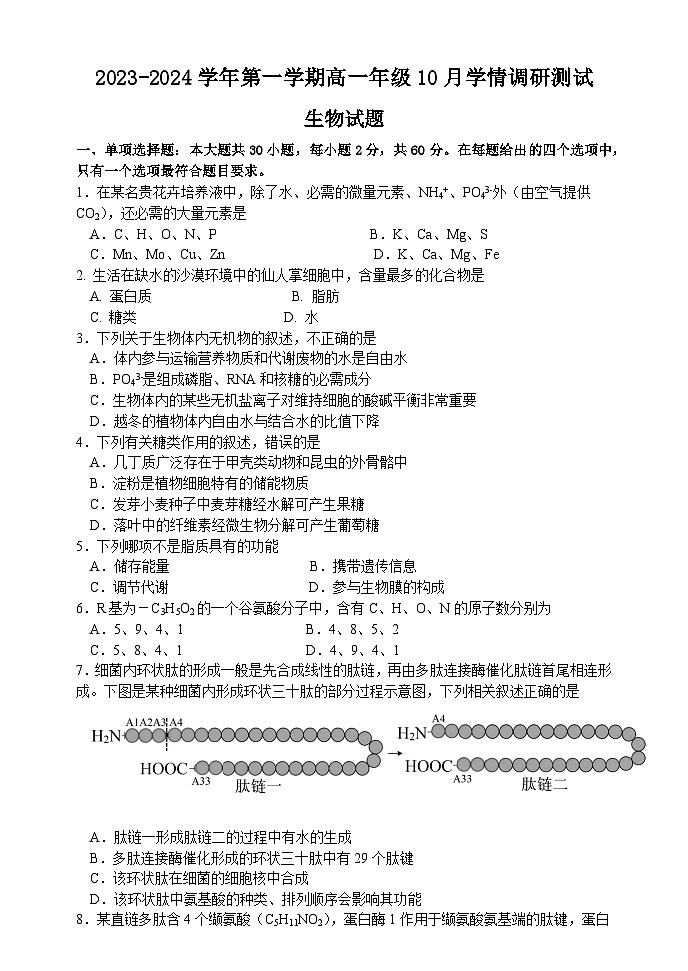 江苏省高邮市2023-2024学年高一上学期10月学情调研测试生物试题第1页