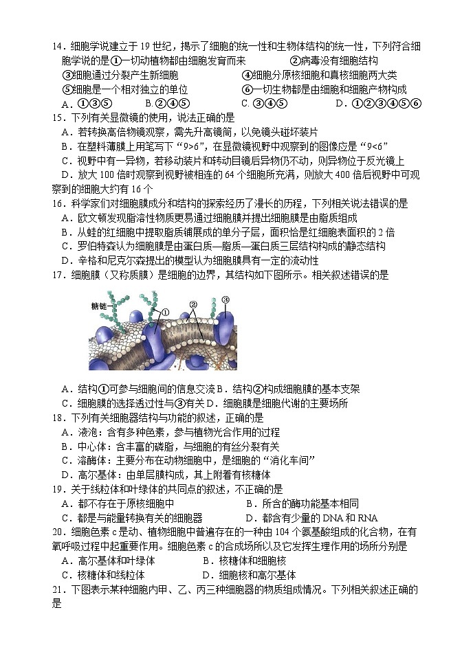 江苏省高邮市2023-2024学年高一上学期10月学情调研测试生物试题第3页