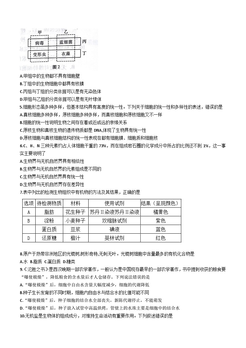 云南省蒙自一中与茚旺高中2023-2024学年高一上学期10月月考生物试题02
