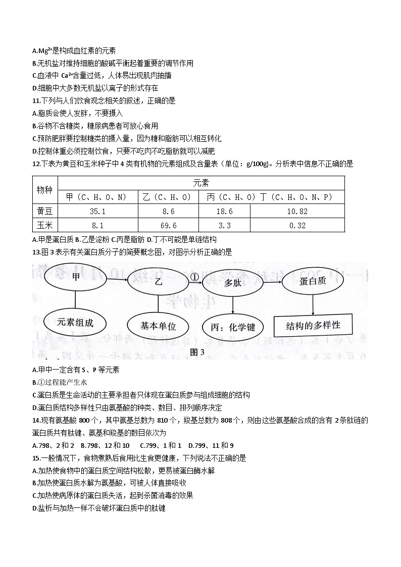 云南省蒙自一中与茚旺高中2023-2024学年高一上学期10月月考生物试题03