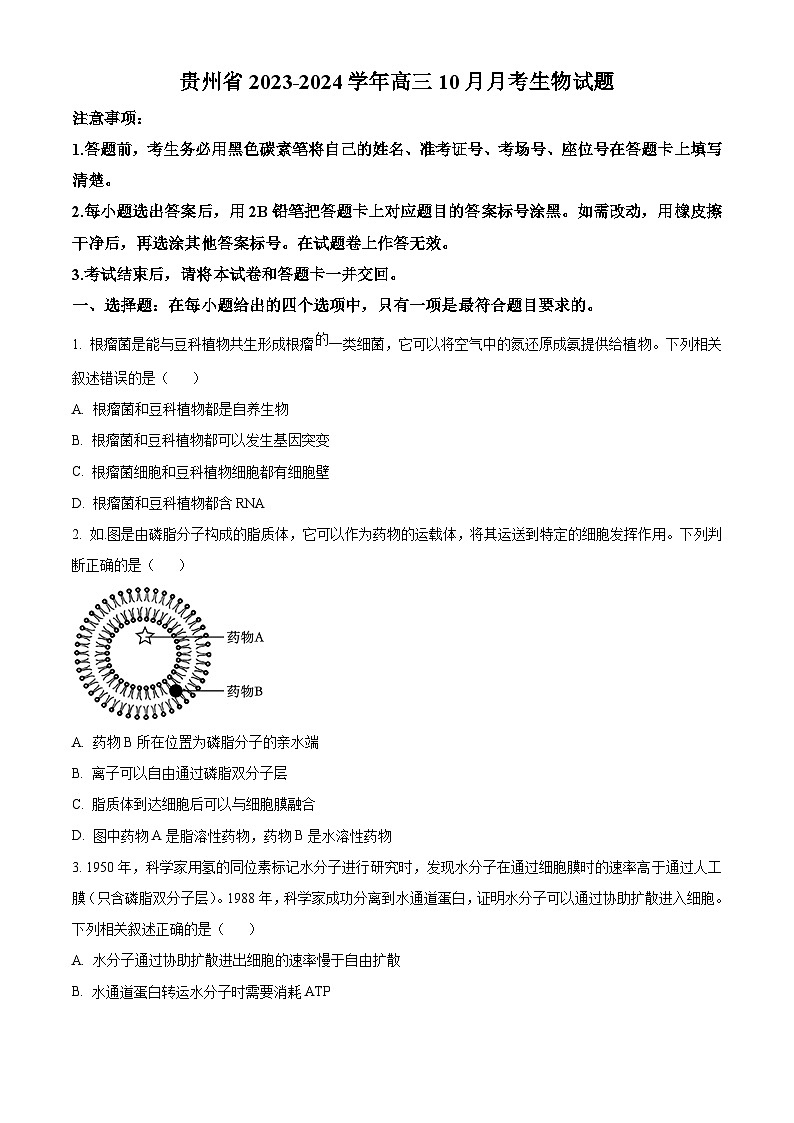 贵州省贵阳市第一中学2024届高三上学期适应性月考（二）生物第1页