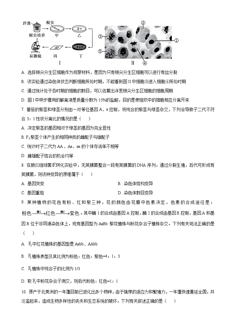 贵州省贵阳市第一中学2024届高三上学期适应性月考（二）生物第3页