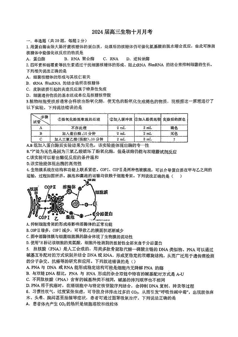 2024金华一中高三上学期10月月考试题生物PDF版含答案第1页
