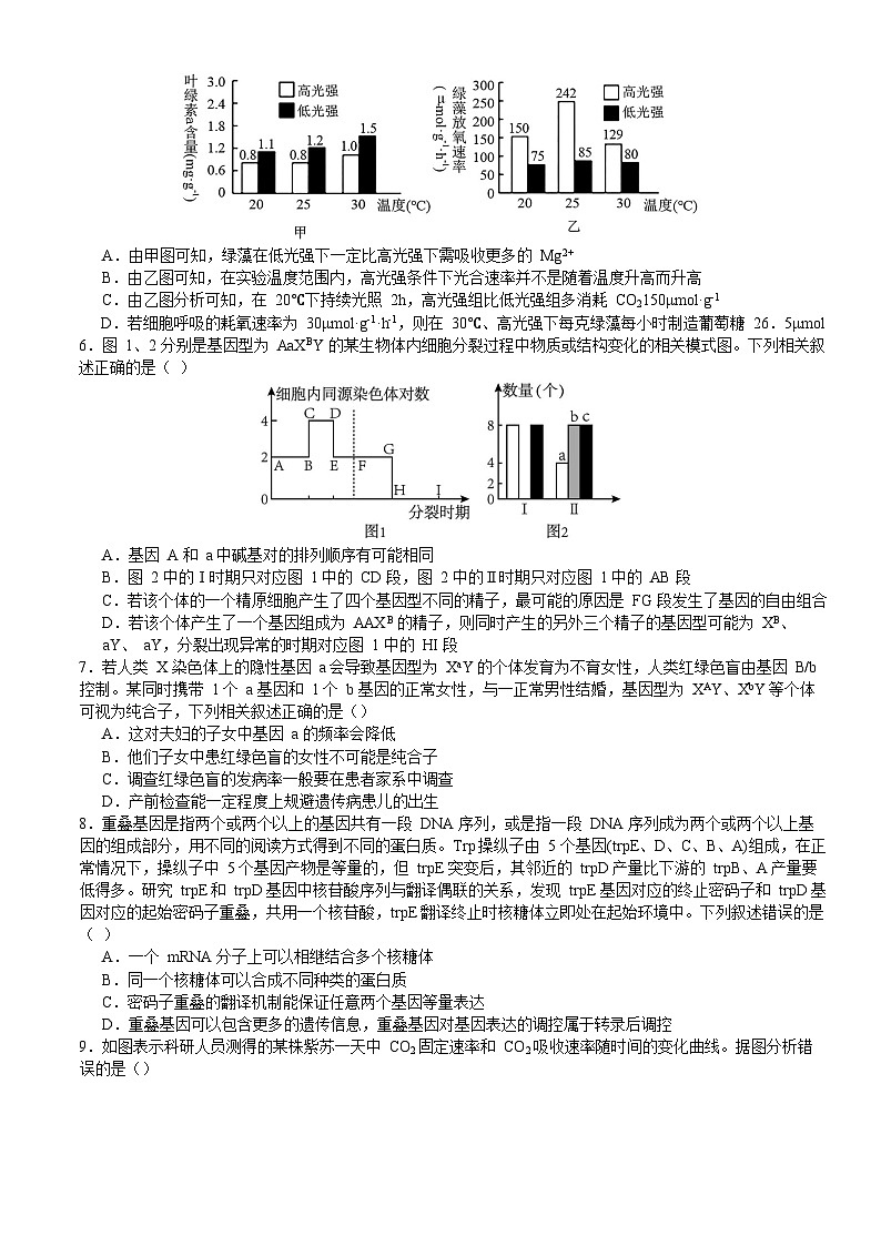 2024枣庄三中高三上学期10月月考试题生物含答案02