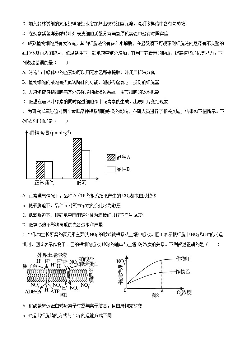 2024山东省实验中学高三上学期第次一诊断考试（10月）生物含解析02