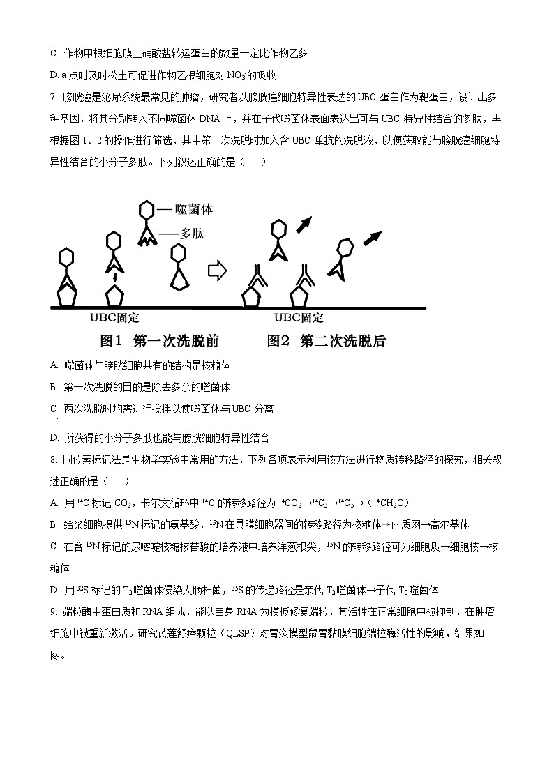 2024山东省实验中学高三上学期第次一诊断考试（10月）生物含解析03