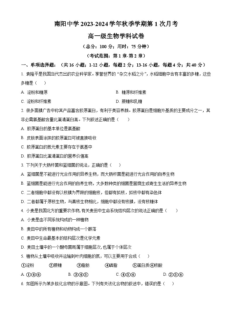 2024清远阳山县南阳中学高一上学期10月月考试题生物含解析01