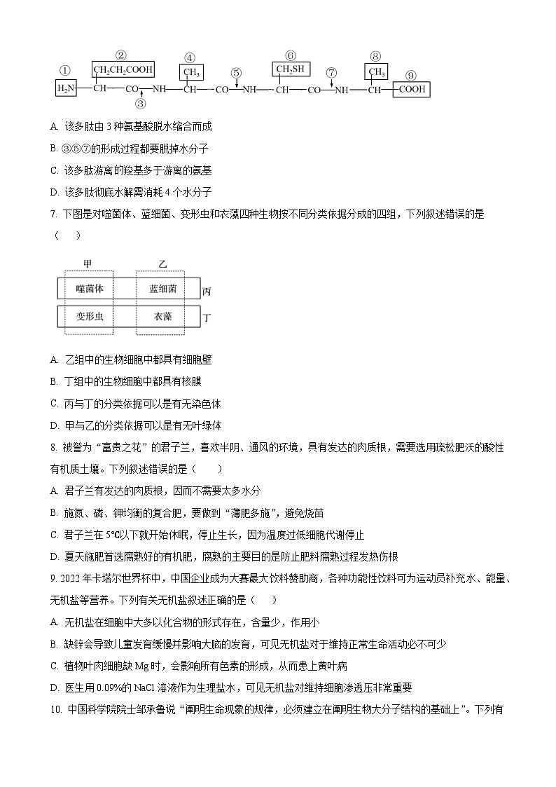 2024清远阳山县南阳中学高一上学期10月月考试题生物含解析02