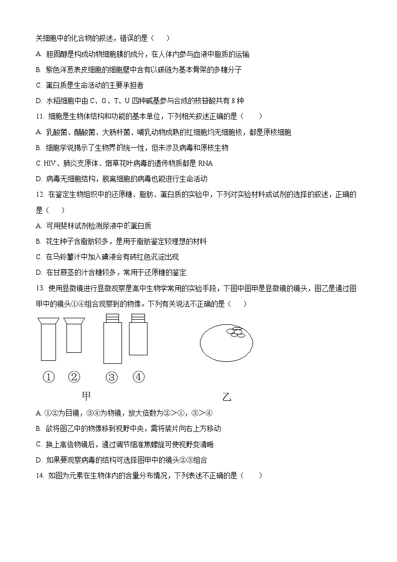 2024清远阳山县南阳中学高一上学期10月月考试题生物含解析03