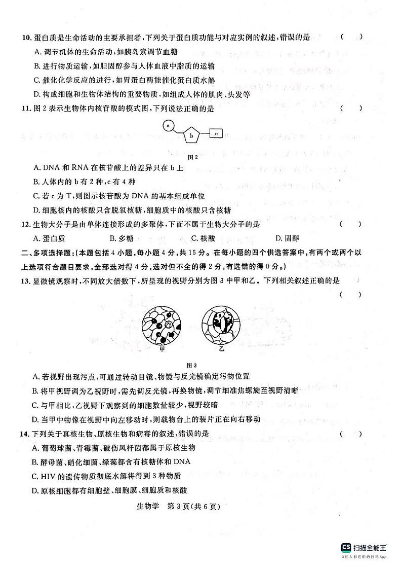 2024河池八校高一上学期第一次联考试题（10月）生物PDF版含答案第3页
