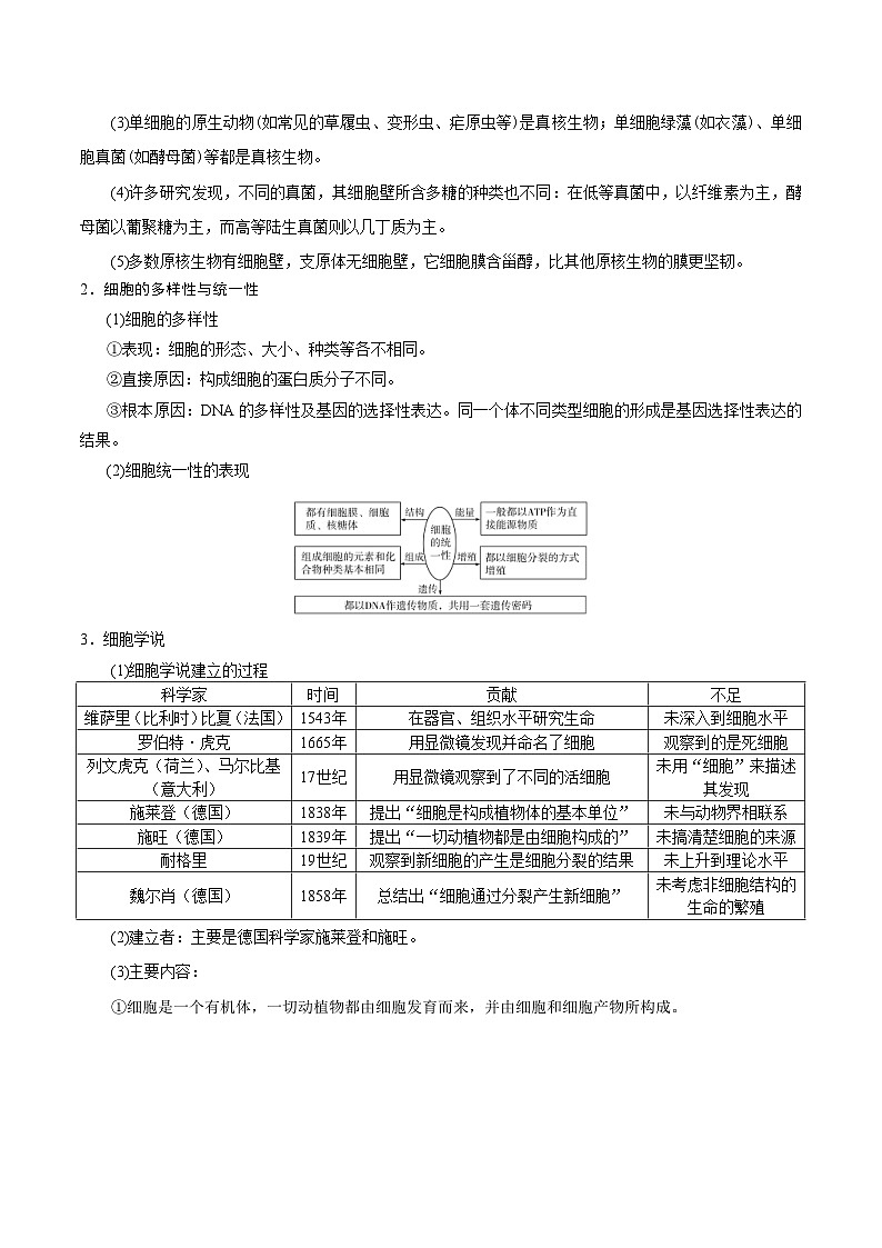 新高考生物一轮复习精品讲义第1讲  走近细胞（含解析）03