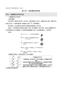 新高考生物一轮复习精品讲义第4讲 细胞膜及细胞核（含解析）
