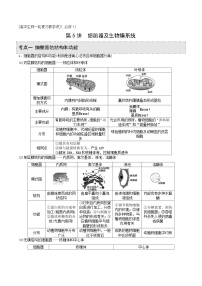 新高考生物一轮复习精品讲义第5讲 细胞器及生物膜系统（含解析）