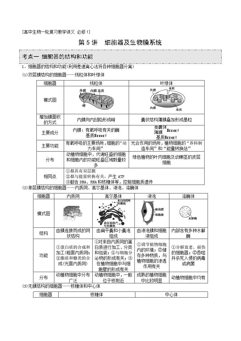 新高考生物一轮复习精品讲义第5讲 细胞器及生物膜系统（含解析）第1页