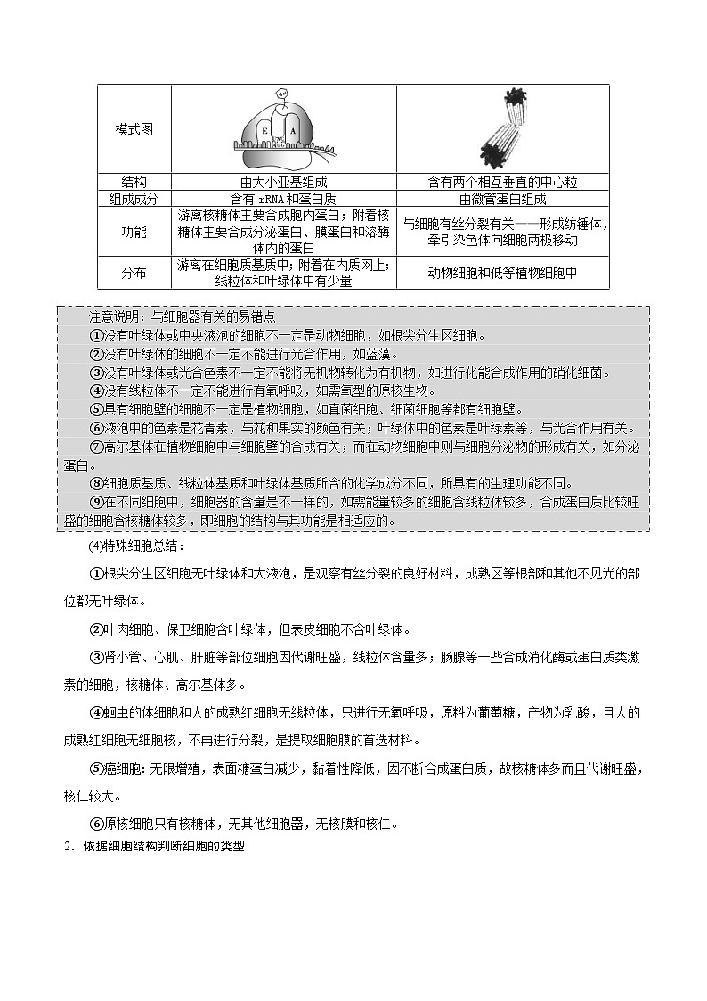 新高考生物一轮复习精品讲义第5讲 细胞器及生物膜系统（含解析）第2页