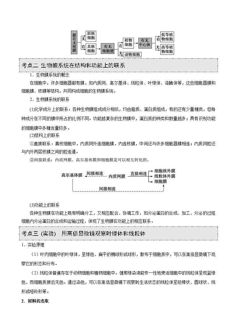 新高考生物一轮复习精品讲义第5讲 细胞器及生物膜系统（含解析）第3页