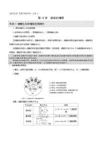 新高考生物一轮复习精品讲义第10讲 细胞的增殖（含解析）