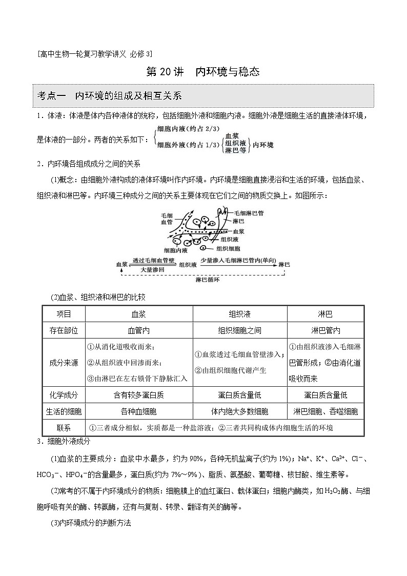 新高考生物一轮复习精品讲义第20讲 内环境与稳态（含解析）第1页