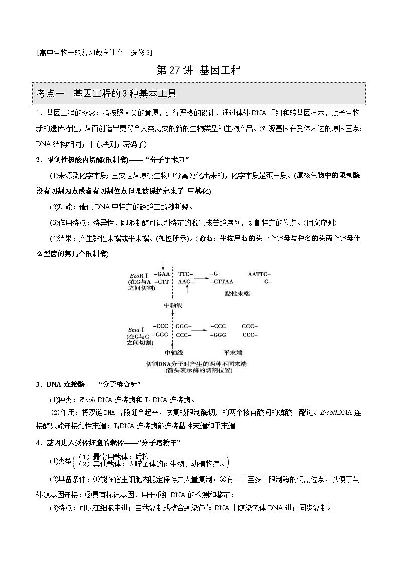 新高考生物一轮复习精品讲义第27讲 基因工程（含解析）01