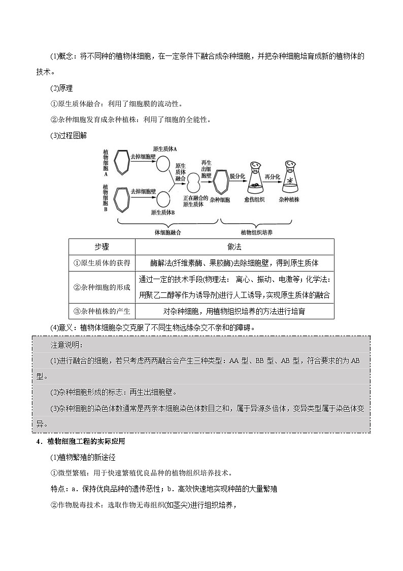 新高考生物一轮复习精品讲义第28讲 细胞工程（含解析）02