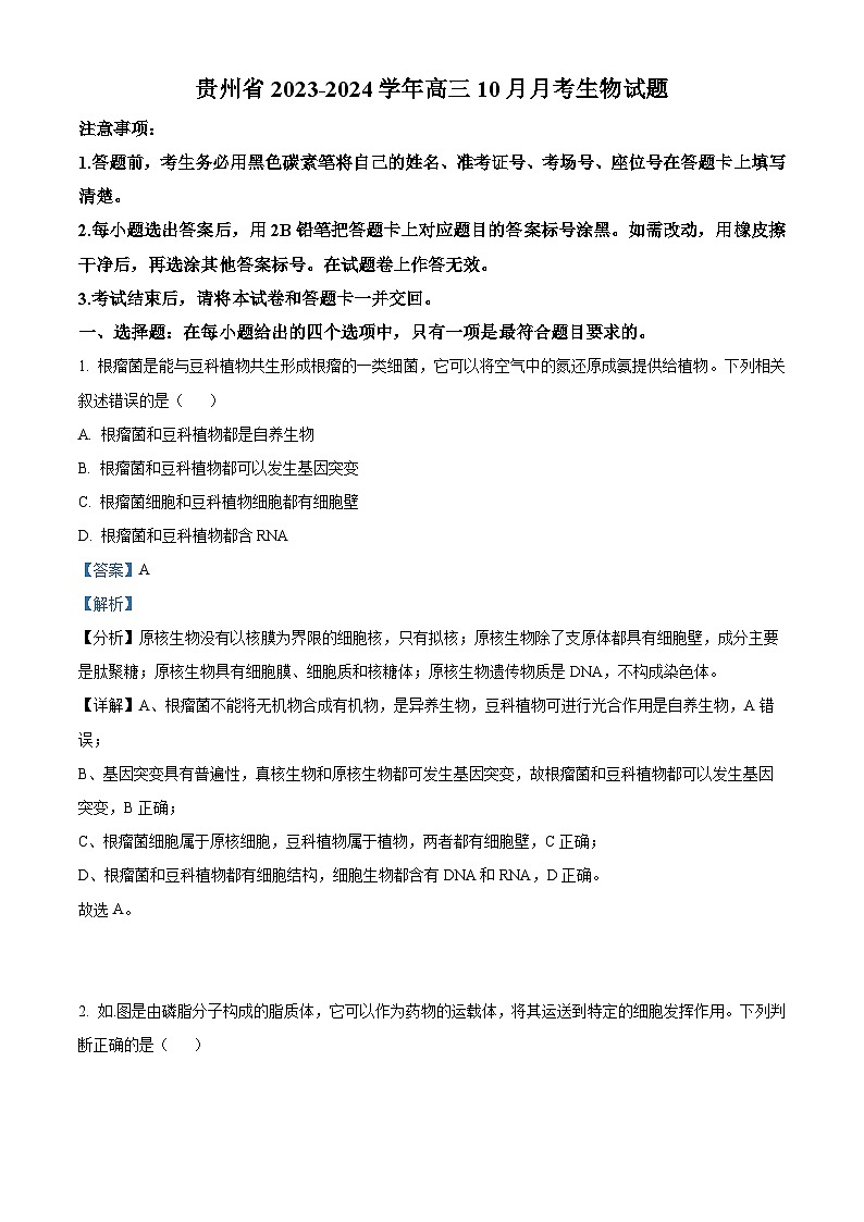 贵州省贵阳市第一中学2024届高三生物上学期适应性月考（二）（Word版附解析）01