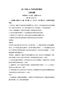 山东省德州市第一中学2023-2024学年高三生物上学期10月月考试题（Word版附解析）