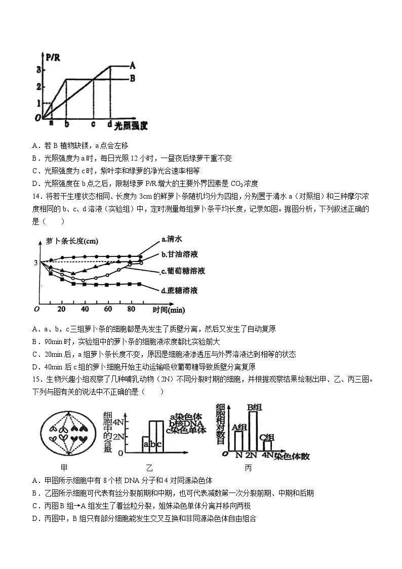 山西省晋城市一中2023-2024学年高三生物上学期10月月考试题（Word版附答案）第3页
