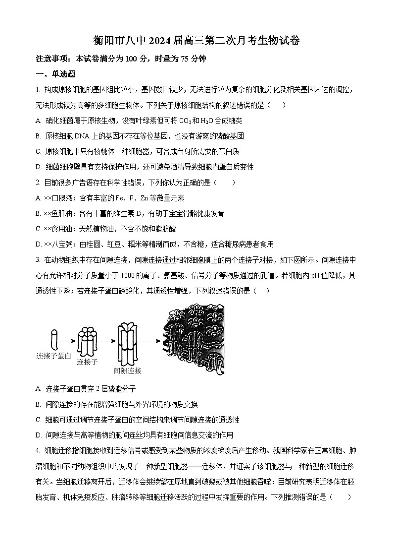 湖南省衡阳市第八中学2023-2024学年高三生物上学期10月月考试题（Word版附解析）第1页