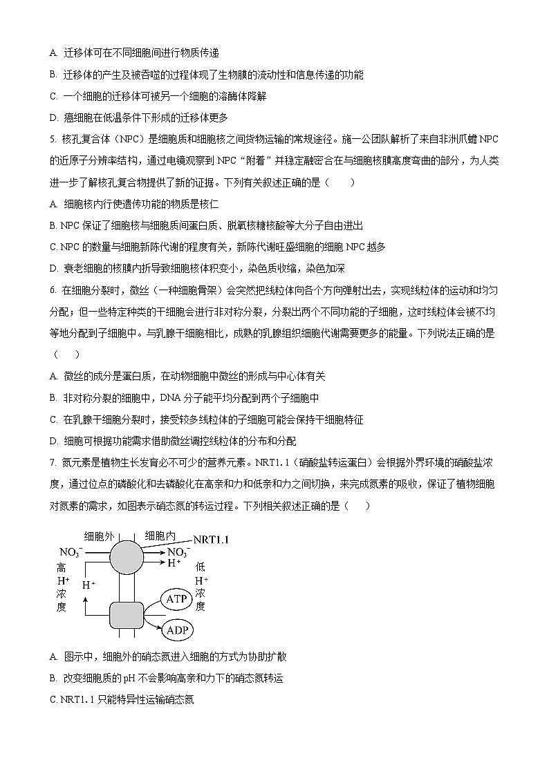 湖南省衡阳市第八中学2023-2024学年高三生物上学期10月月考试题（Word版附解析）第2页