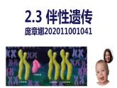 2.3 伴性遗传课件2021-2022学年高一下学期生物人教版必修2