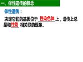 2.3 伴性遗传课件2021-2022学年高一下学期生物人教版必修2