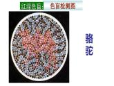 2.3 伴性遗传课件2021-2022学年高一下学期生物人教版必修2