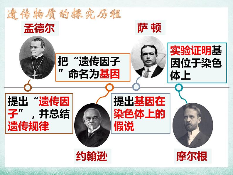 3.1 dna是主要的遗传物质课件2021-2022学年高一下学期生物人教版必修202