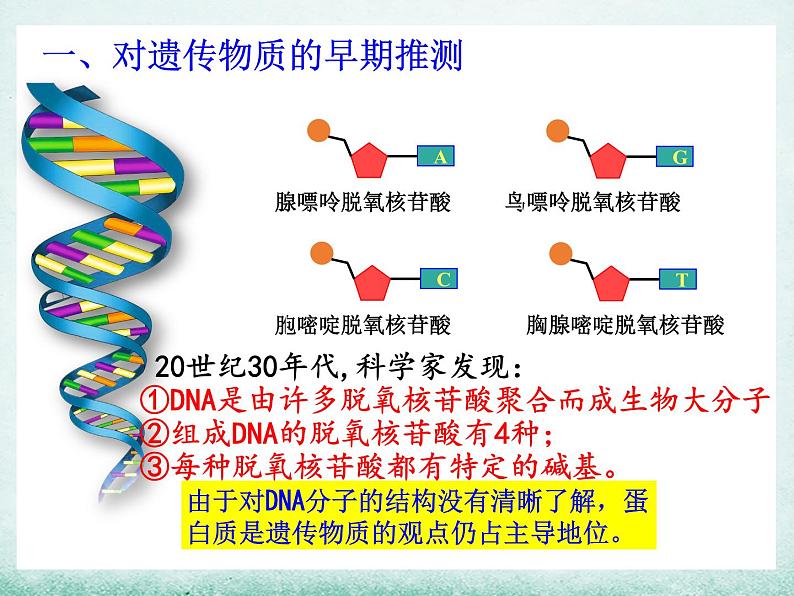 3.1 dna是主要的遗传物质课件2021-2022学年高一下学期生物人教版必修205