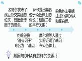 3.4基因通常是有遗传效应的dna片段课件2021-2022学年高一下学期生物人教版必修2