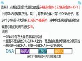 3.4基因通常是有遗传效应的dna片段课件2021-2022学年高一下学期生物人教版必修2