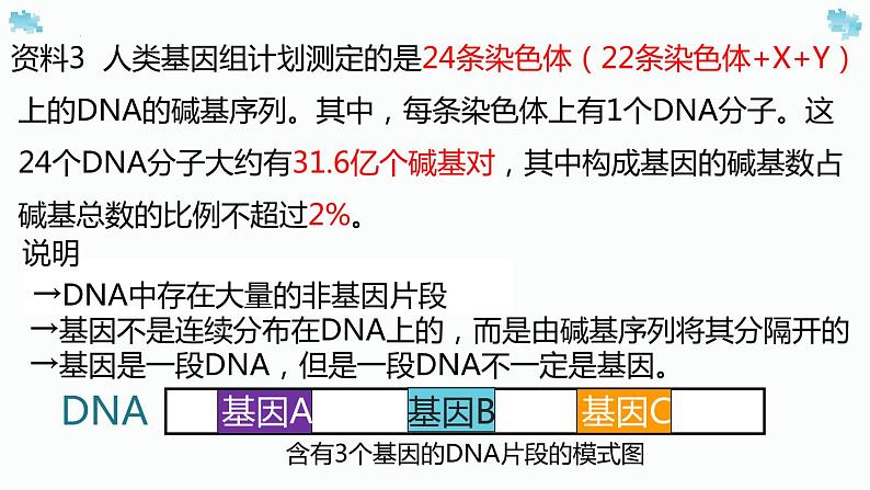 3.4基因通常是有遗传效应的dna片段课件2021-2022学年高一下学期生物人教版必修205