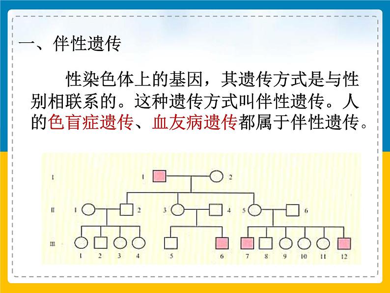 伴性遗传伴性遗传课件PPT06