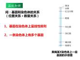 必修2  3.4 基因通常是有遗传效应的DNA片段课件PPT