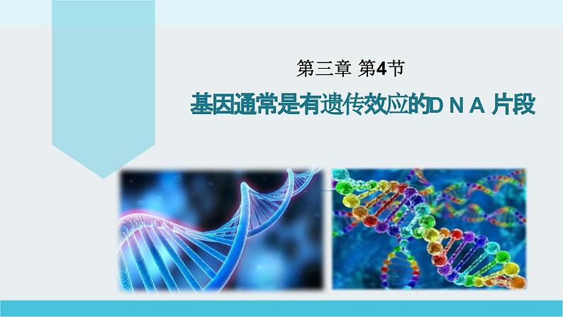 必修2 3.4基因通常是有遗传效应的DNA片段  庞章娜 2023.3.17课件PPT01