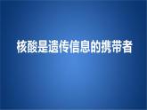 必修一2.5核酸是遗传信息的携带者课件PPT