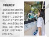 必修一2.5核酸是遗传信息的携带者课件PPT