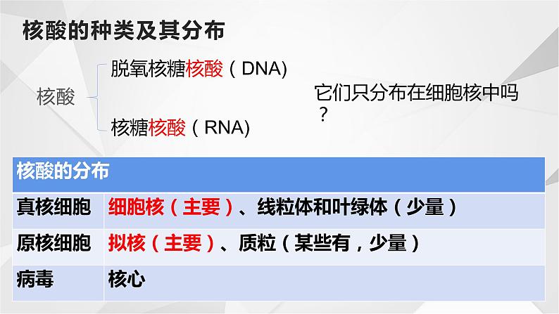 必修一2.5核酸是遗传信息的携带者课件PPT05