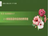 第二章 核酸是遗传信息的携带者 课件-2022-2023学年高一生物人教版必修1