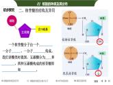 第二章 核酸是遗传信息的携带者 课件-2022-2023学年高一生物人教版必修1