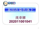 基因在染色体上.课件PPT