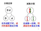 基因在染色体上.课件PPT