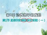 1.1孟德尔的豌豆杂交实验（一）课件-2022-2023学年高一下学期生物人教版（2019）必修2