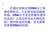 DNA的分子结构课件PPT